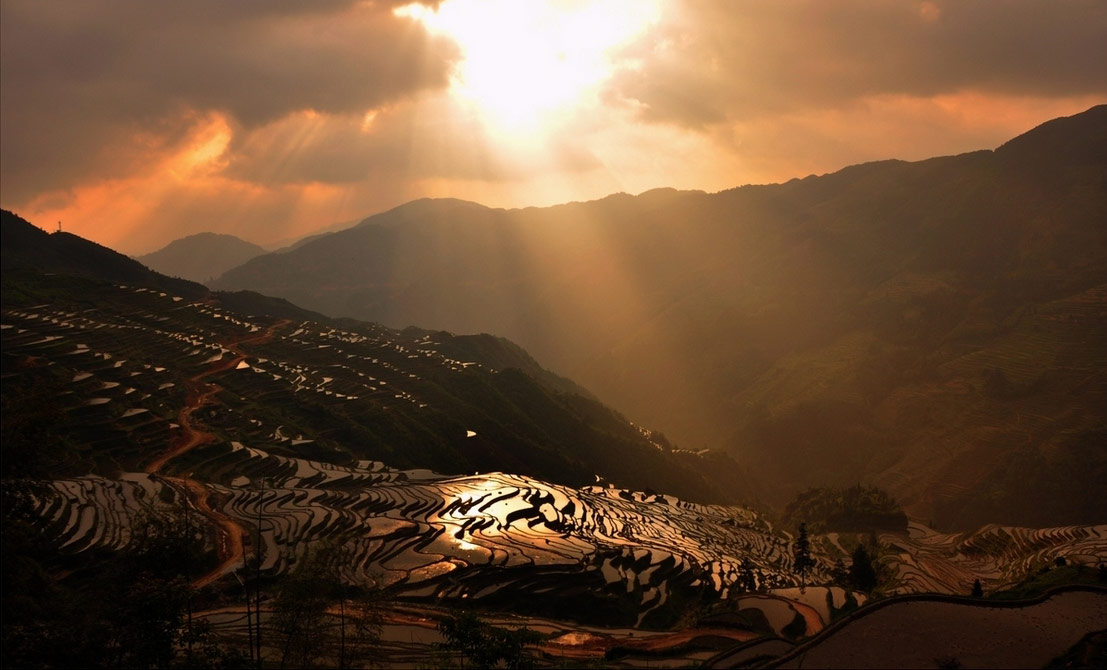 Congjiang Jiabang Terraced Fields